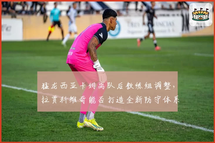 猛龙西亚卡姆离队后教练组调整，拉贾科维奇能否打造全新防守体系？