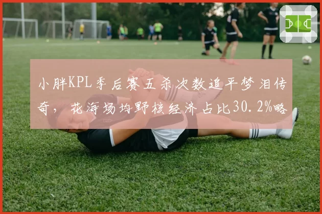 小胖KPL季后赛五杀次数追平梦泪传奇,花海场均野核经济占比30.2%略逊一筹__br_