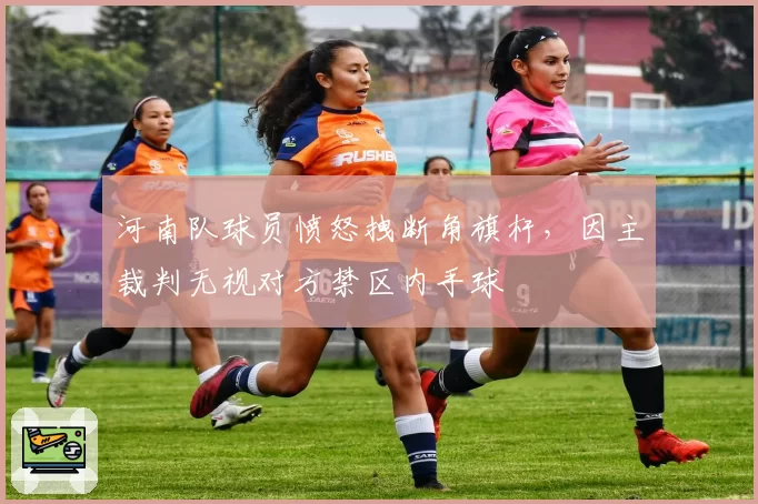 河南队球员愤怒拽断角旗杆,因主裁判无视对方禁区内手球