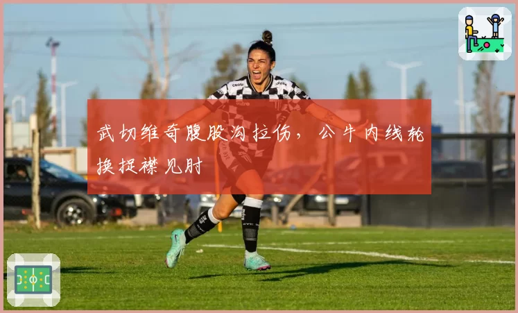 武切维奇腹股沟拉伤,公牛内线轮换捉襟见肘