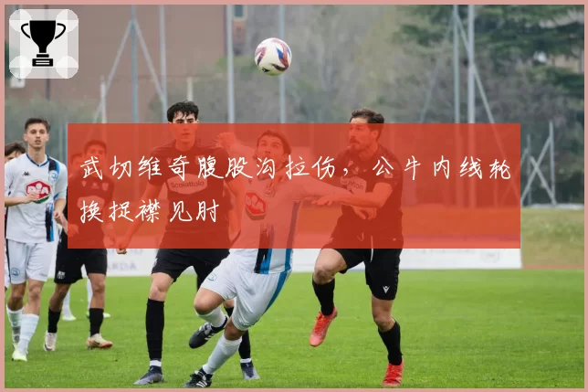 武切维奇腹股沟拉伤,公牛内线轮换捉襟见肘