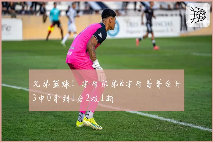 兄弟篮球!字母弟弟&字母哥哥合计3中0拿到1分2板1断