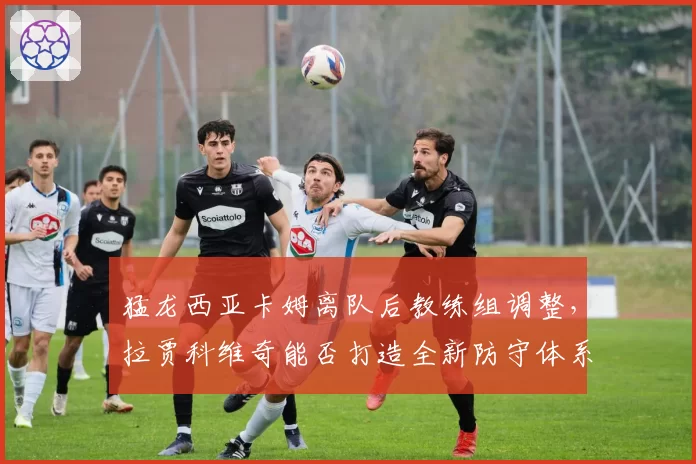 猛龙西亚卡姆离队后教练组调整，拉贾科维奇能否打造全新防守体系？